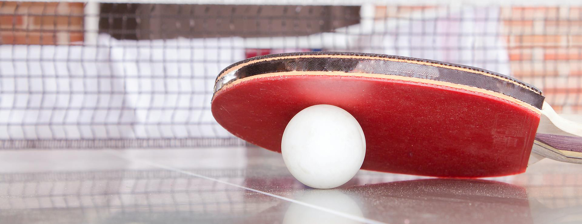 Sport Sale Shop -Sport Sale Shop pexels sascha duser 51514 187329